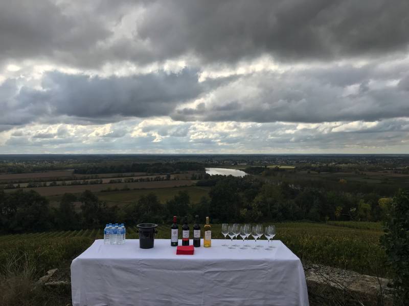 privatisation bateau bordeaux chaland entreprise